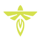 FLY logo